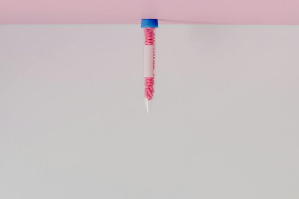 L'impact des huiles essentielles sur la quête du Zen : Un guide complet